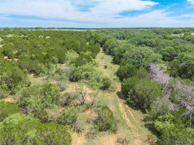 141 County Road 512, Goldthwaite, TX 76844