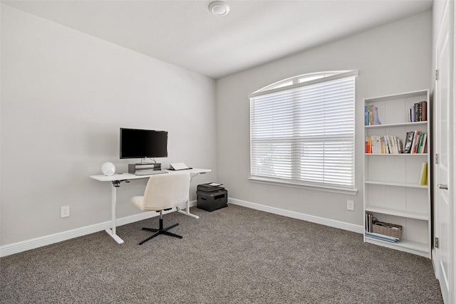 15532 Balham Pass, Fort Worth, TX 76247 - office space featuring carpet floors and baseboards