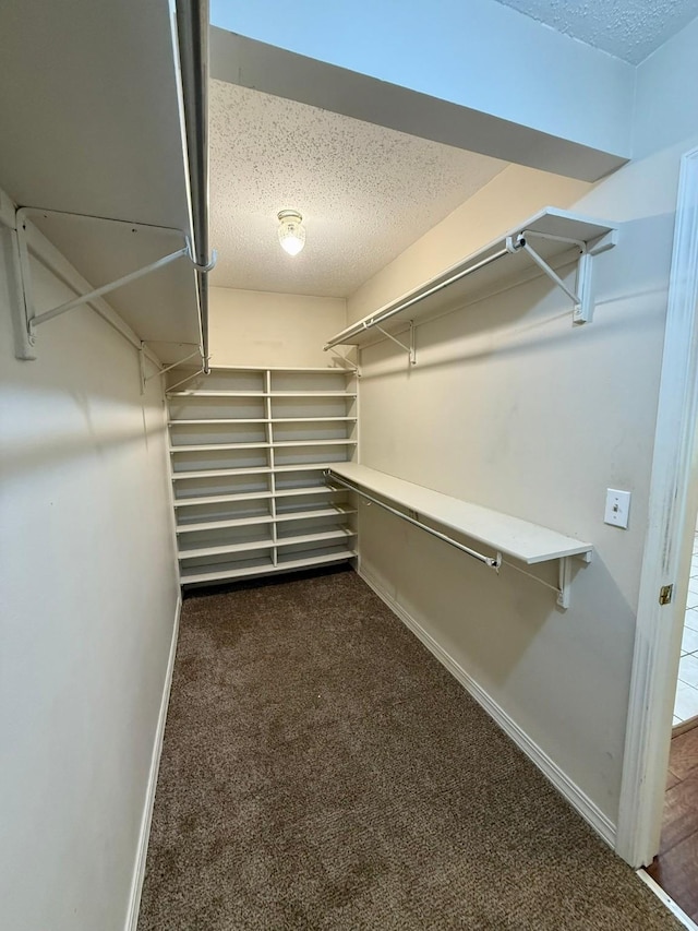 11535 Timber Ridge Dr, Keithville, LA 71047 - spacious closet with carpet flooring
