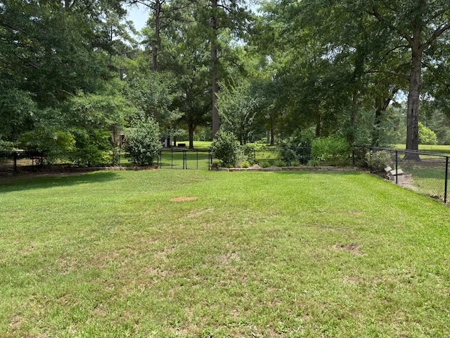11535 Timber Ridge Dr, Keithville, LA 71047 - view of yard