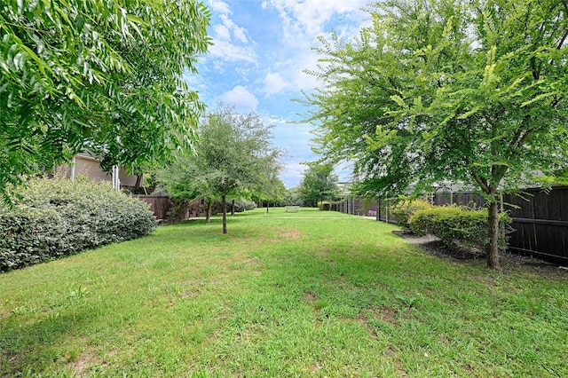 5067 Gaston Ave, Dallas, TX 75214 - view of yard