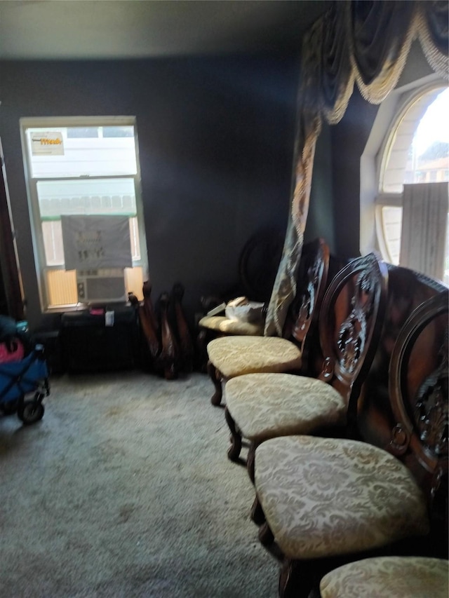 2911 S Denley Dr, Dallas, TX 75216 - living area featuring carpet floors