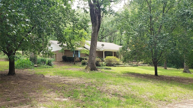 401 S Timberlane, Lone Star, TX 75638 - view of grassy yard