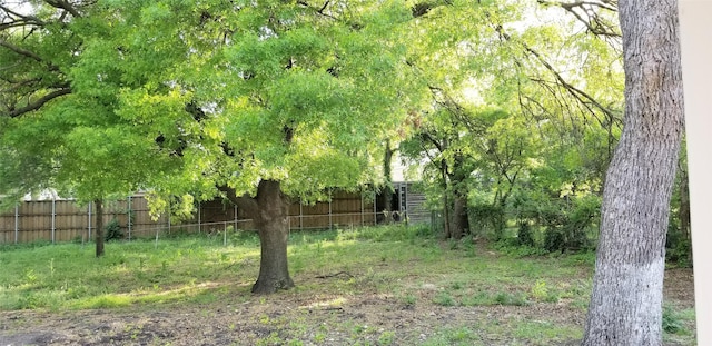 412 Ellis St, Allen, TX 75002 - view of yard