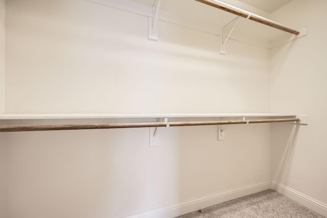117 Parkview Dr, Saginaw, TX 76179 - spacious closet with light carpet