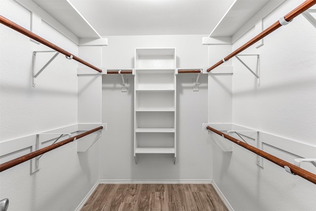 203 Mustang Trl, Celina, TX 75009 - walk in closet with wood finished floors