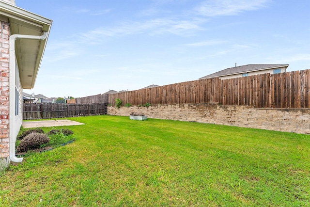 203 Mustang Trl, Celina, TX 75009 - view of yard