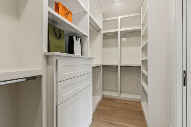 4162 Allencrest Ln, Dallas, TX 75244 - spacious closet featuring light wood-style floors