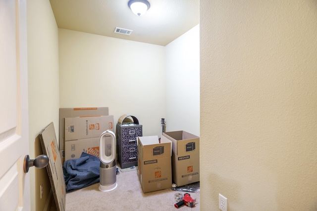 5204 Agave Way, Fort Worth, TX 76126 - view of storage area