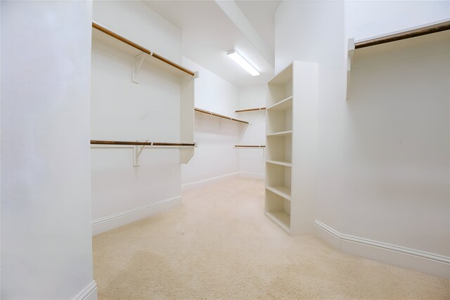1503 Willingham Dr, Allen, TX 75013 - walk in closet featuring light carpet