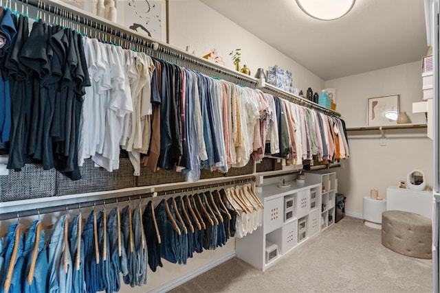 9212 Brittlebrush Trl, Fort Worth, TX 76177 - walk in closet featuring carpet