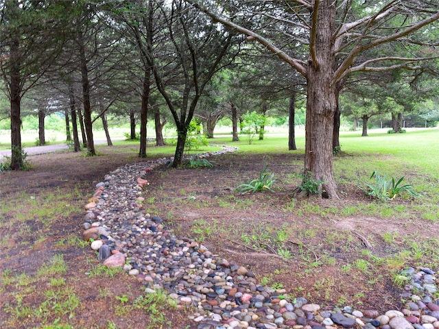 2226 Bethany Rd, Sherman, TX 75090 - view of green lawn