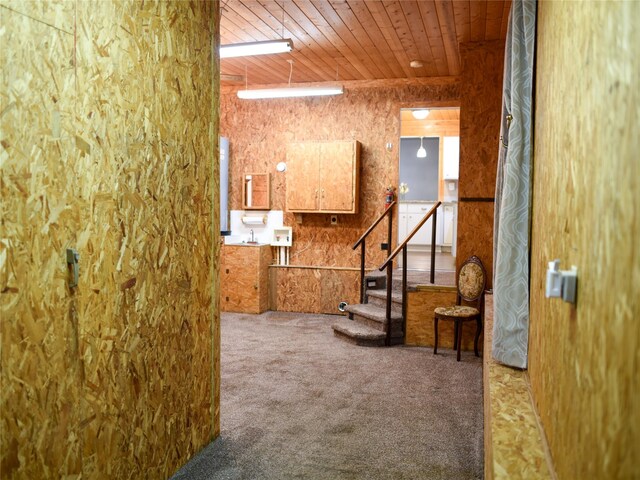 2226 Bethany Rd, Sherman, TX 75090 - basement featuring wood ceiling, carpet, and stairway