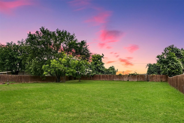 320 Mockingbird Ln, Springtown, TX 76082 - view of yard at dusk