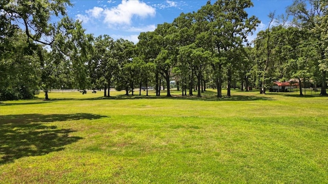 880 S Fm 779, Emory, TX 75440 - view of community featuring a lawn