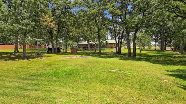 880 S Fm 779, Emory, TX 75440 - view of yard