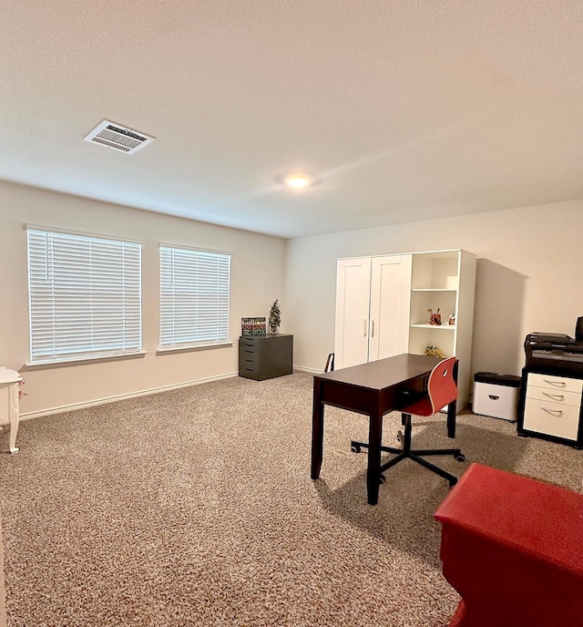 1416 Blossom Court Dr, Princeton, TX 75407 - carpeted office space with baseboards