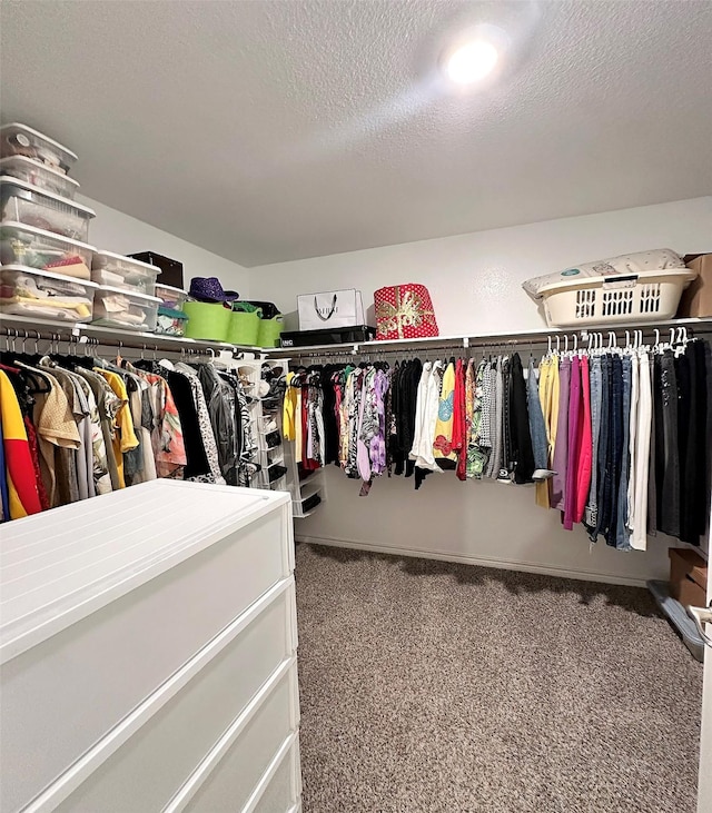 1416 Blossom Court Dr, Princeton, TX 75407 - spacious closet with carpet