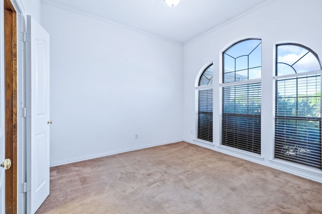 5282 Homeplace Ln, Kaufman, TX 75142 - carpeted spare room with crown molding and baseboards