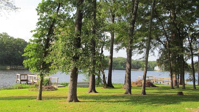 150 County Road 1699, Alba, TX 75410 - water view with a boat dock