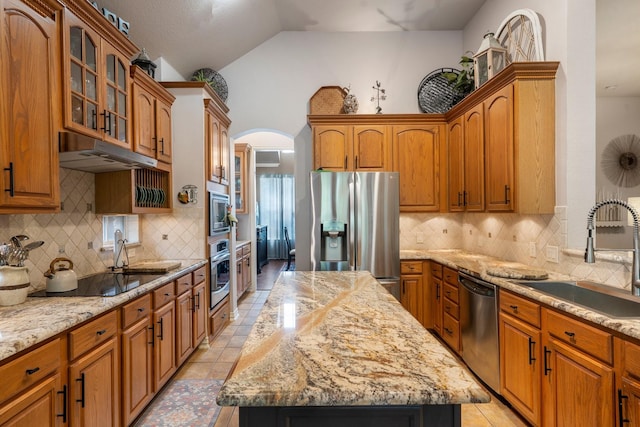 1869 Rio Blanco Dr, Frisco, TX 75033 - kitchen with stainless steel appliances, a sink, lofted ceiling, glass insert cabinets, and a kitchen island