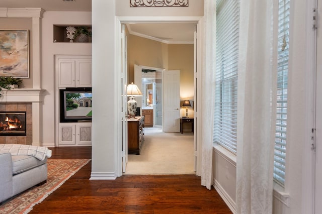 1869 Rio Blanco Dr, Frisco, TX 75033 - corridor with ornamental molding, dark wood-style flooring, and baseboards