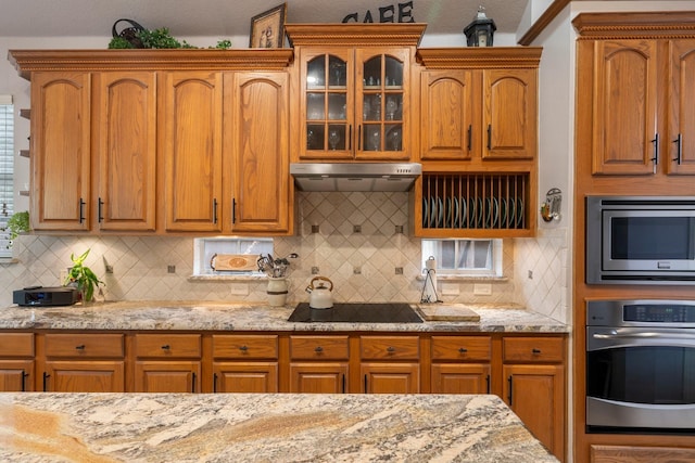 1869 Rio Blanco Dr, Frisco, TX 75033 - kitchen with appliances with stainless steel finishes, under cabinet range hood, and light stone countertops