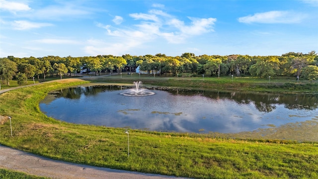 6586 Lone Star Ln, Aubrey, TX 76227 - water view