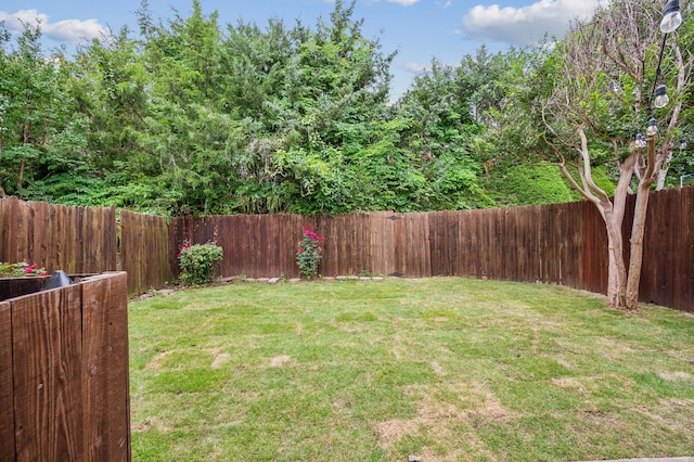 223 Mccarley Pl, Mckinney, TX 75071 - view of yard