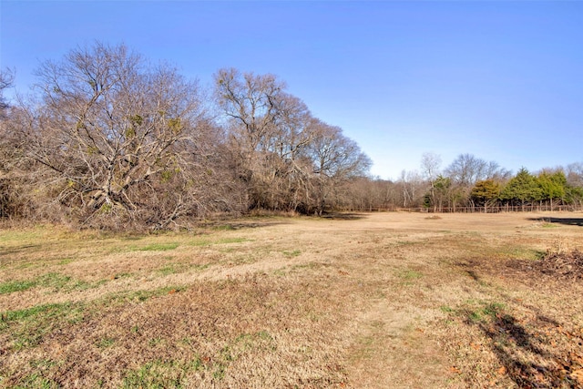 691 Bear Rd, Van Alstyne, TX 75495 - view of nature