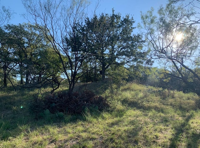 LOT43BLK7 Hauser Pl, Runaway Bay, TX 76426