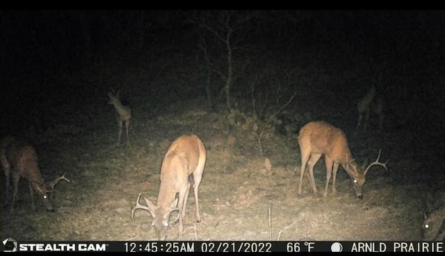 LOT43BLK7 Hauser Pl, Runaway Bay, TX 76426