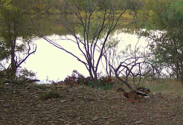 LOT43BLK7 Hauser Pl, Runaway Bay, TX 76426