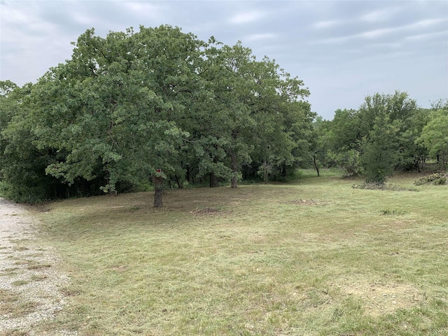 LOT43BLK7 Hauser Pl, Runaway Bay, TX 76426