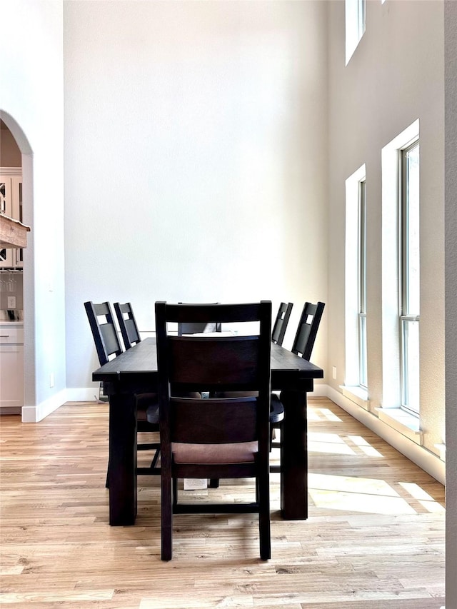 180 Cant Miss, Gordon, TX 76453 - dining area with healthy amount of natural light, light wood-type flooring, arched walkways, a high ceiling, and baseboards