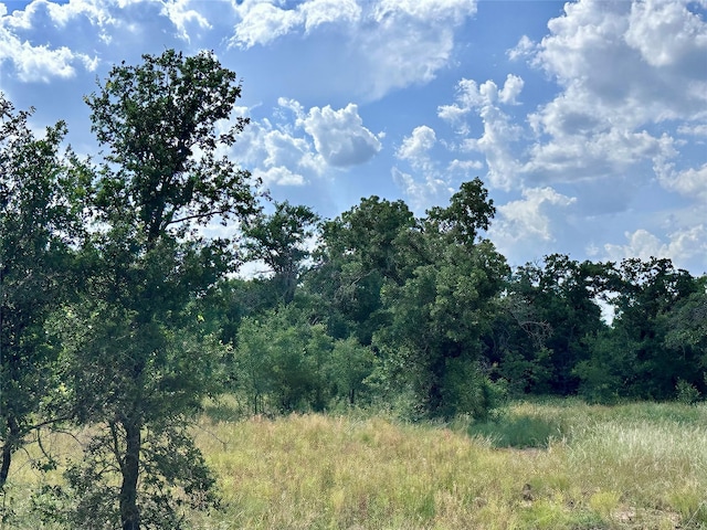 180 Cant Miss, Gordon, TX 76453 - view of wooded area