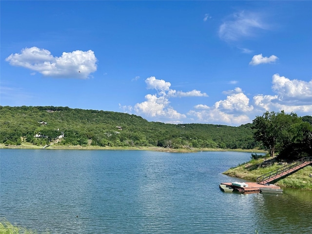180 Cant Miss, Gordon, TX 76453 - water view featuring a heavily wooded area and a floating dock