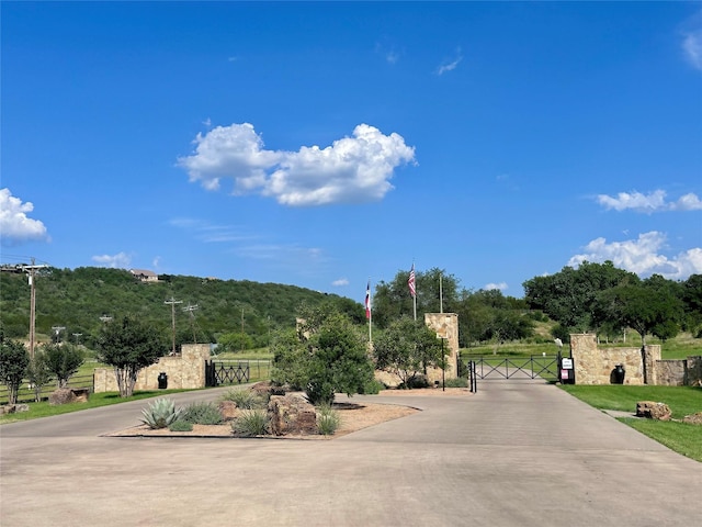 180 Cant Miss, Gordon, TX 76453 - view of concrete road featuring a gate