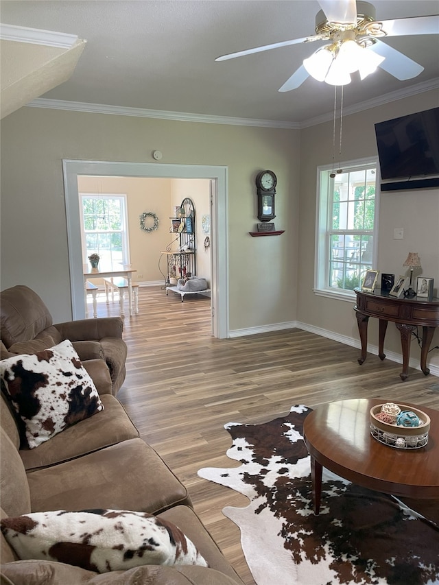 2620 County Road 1102, Grandview, TX 76050 - living room with ornamental molding, ceiling fan, light wood finished floors, and baseboards