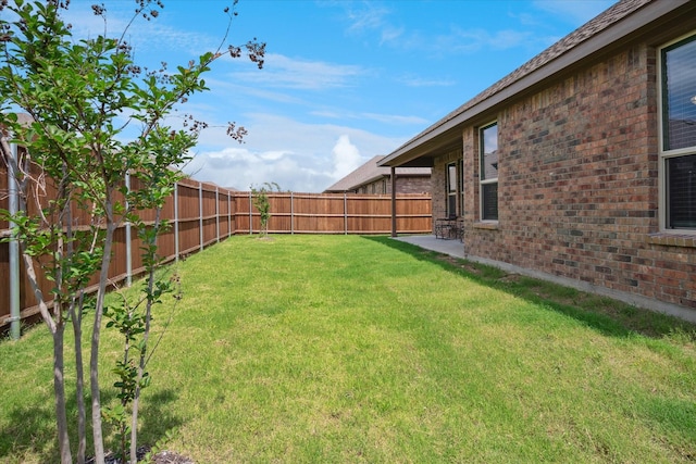 5213 Meadow Ln, Krum, TX 76249 - view of yard