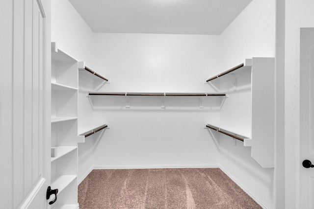 417 Sagebrush Ln, Waxahachie, TX 75165 - spacious closet with carpet