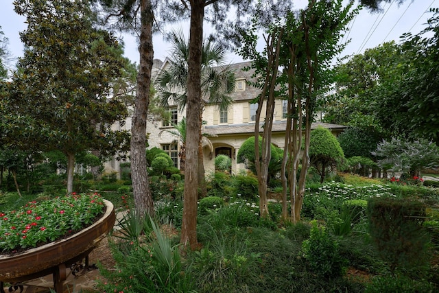 2900 Amherst Ave, University Park, TX 75225 - view of yard
