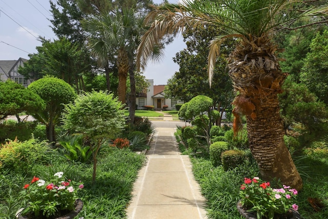 2900 Amherst Ave, University Park, TX 75225 - view of community
