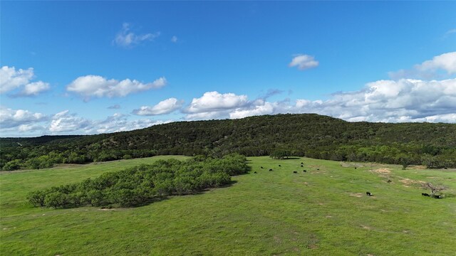 TBD Fm 919, Gordon, TX 76453
