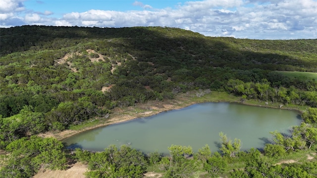 TBD Fm 919, Gordon, TX 76453