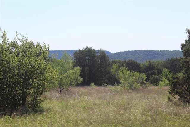 TBD Fm 919, Gordon, TX 76453
