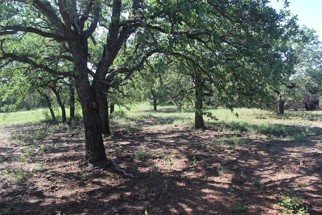 TBD Fm 919, Gordon, TX 76453