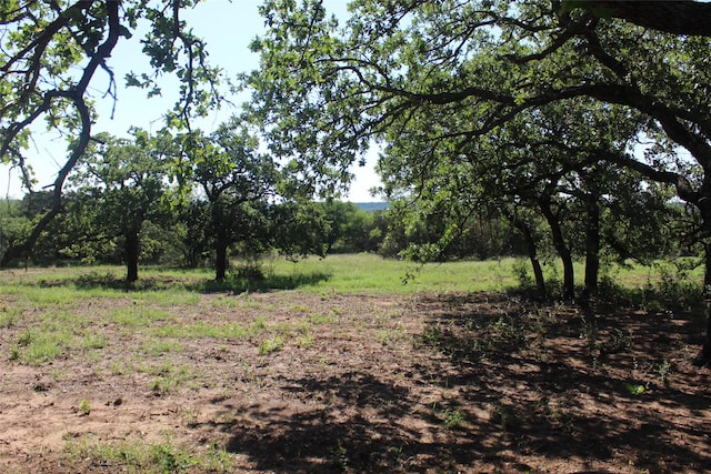 TBD Fm 919, Gordon, TX 76453