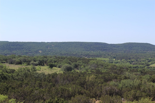 TBD Fm 919, Gordon, TX 76453