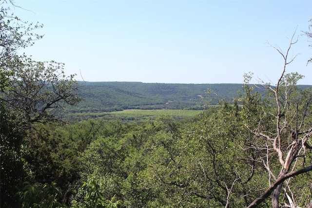 TBD Fm 919, Gordon, TX 76453